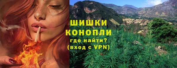 ГАЛЛЮЦИНОГЕННЫЕ ГРИБЫ Абаза
