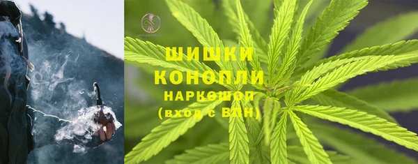 ГАЛЛЮЦИНОГЕННЫЕ ГРИБЫ Абаза